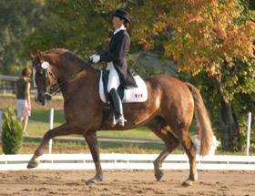 Ute and <i>Maximus</i>